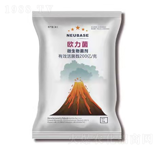 ΢�������-�W����-����}