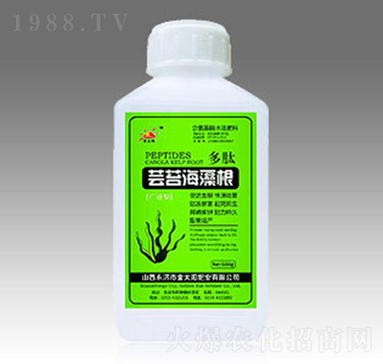 �|̦�����-��̫�(y��ng)�ʘI(y��)