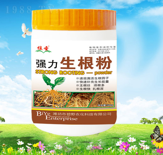 ������-ֲʥ-��Ұ�r(n��ng)��