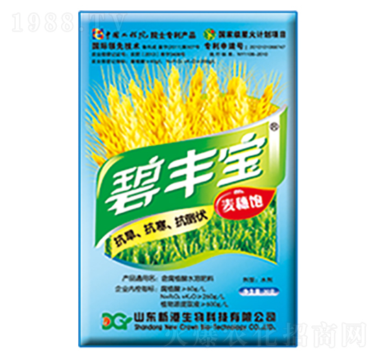 С�����������-�¸�����