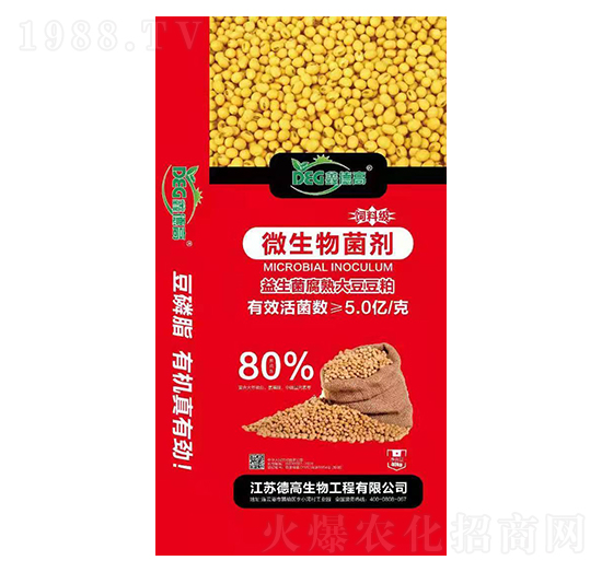 ����������󶹶���-�¸�����