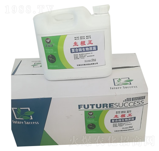 ������-�ָ���