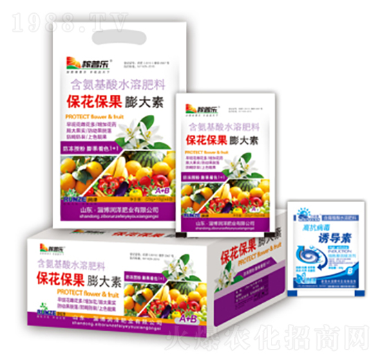 �������������-��(r��n)�ɷʘI(y��)