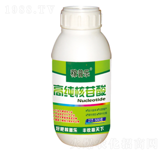 �߼�������-���՘�-��(r��n)�ɷʘI(y��)