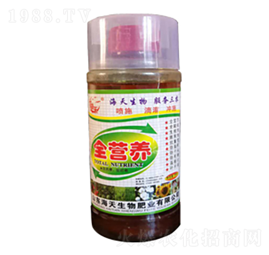 ȫ�I�B(y��ng)-��������