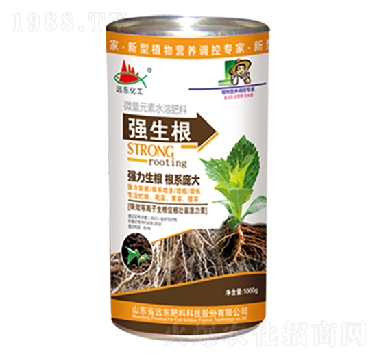 ������-�h�|����