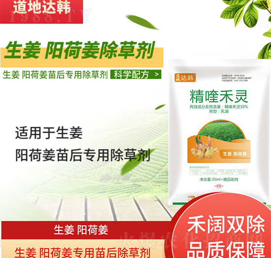 �����(y��ng)�ɽ����݄�-�����(y��ng)�ɽ����-�����(y��ng)�ɽ���(zhu��n)��-���n