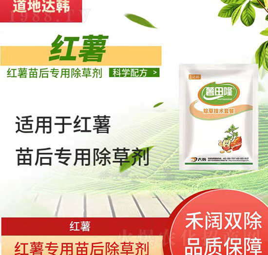 �t�����݄�-�t�����-�t�팣��-���n