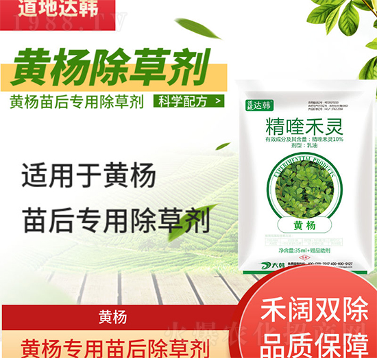 �S����݄�-�S�����-�S���-���n