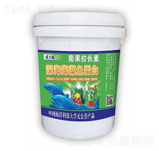 ������~����-������L(zh��ng)��-����ʩ