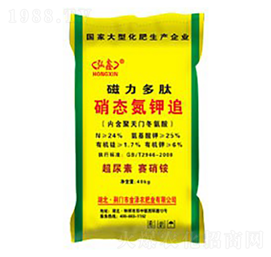 �����������B(t��i)���׷��-����-���S����