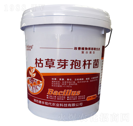 �ݲ�ѿ�ߗU��-���|����