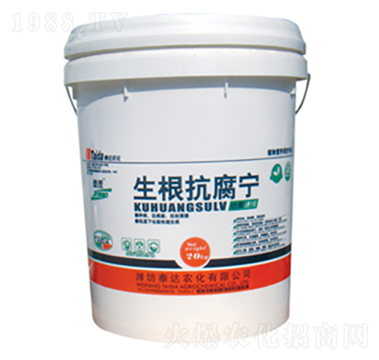 ����������-���S�پG-̩�_�r(n��ng)��