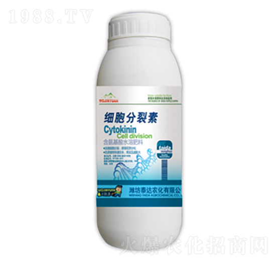 ����������-̩�_�r(n��ng)��