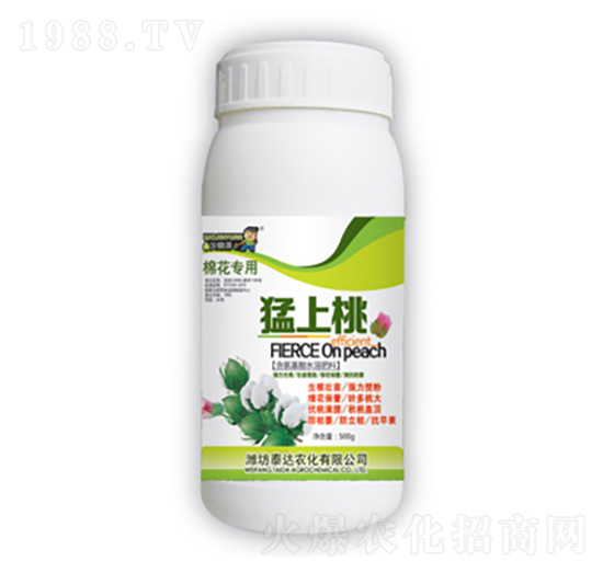 ������-̩�_(d��)�r(n��ng)��