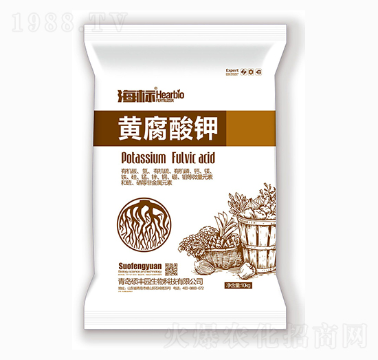 �S�����-����-�T�S�@