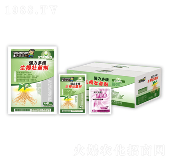 ������S�������焩+�T��(d��o)��-̩�_(d��)�r(n��ng)��