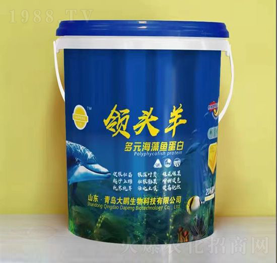 多元海藻魚蛋白-領(lǐng)頭羊-大鵬生物