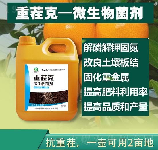 �ز��΢�������-��Ʒ����