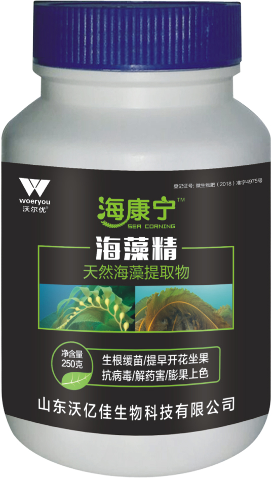 ���徫-�֠���(y��u)