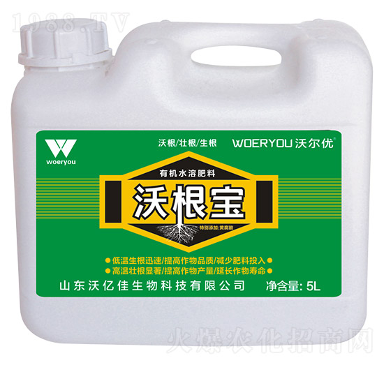 �ָ���-�֠���(y��u)