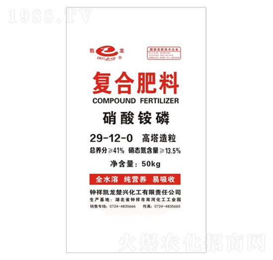 �����@�׏ͺϷ���29-12-0-�P������