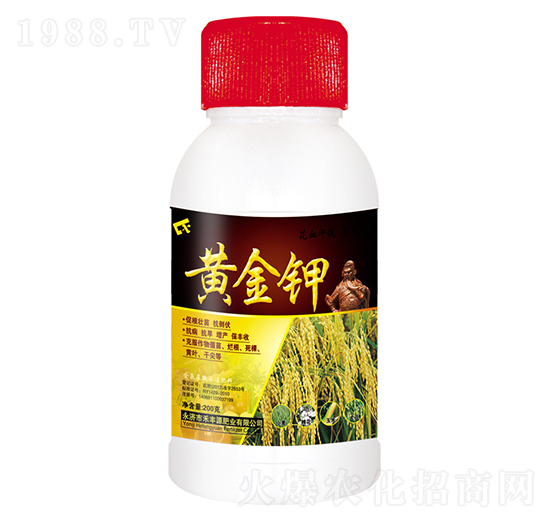 �S���-���SԴ�ʘI(y��)