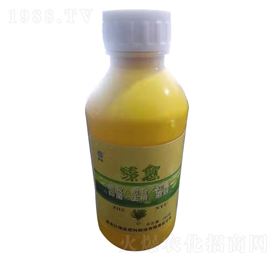 ����-����