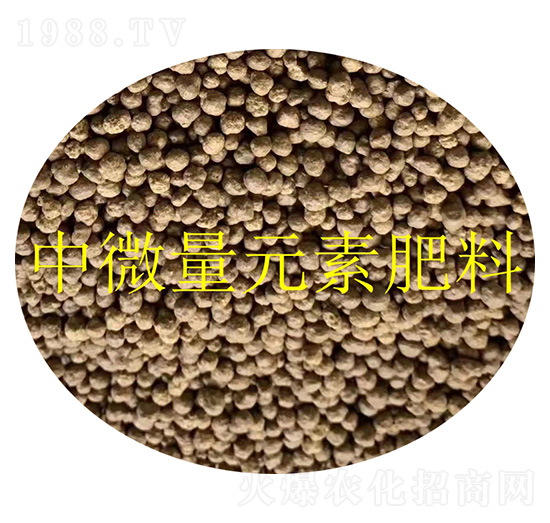 ��΢��Ԫ�ط����w��-��(r��n)�l(f��)����