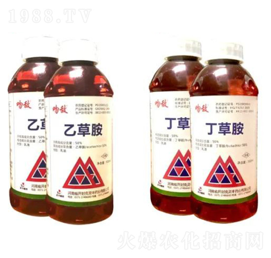 50%�Ҳݰ�+50%���ݰ�-�ǔ�-����ꖹ�