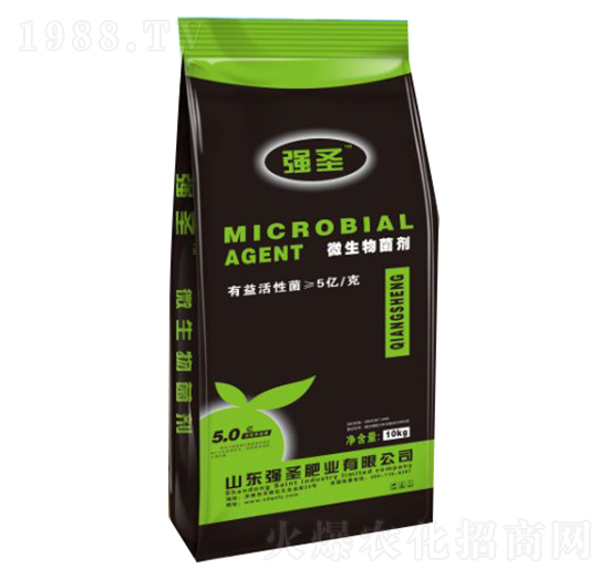 微生物菌劑-強(qiáng)圣肥業(yè)