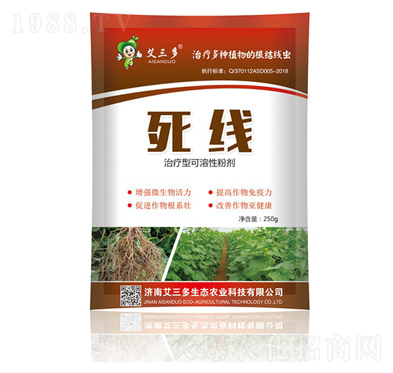 ����-������