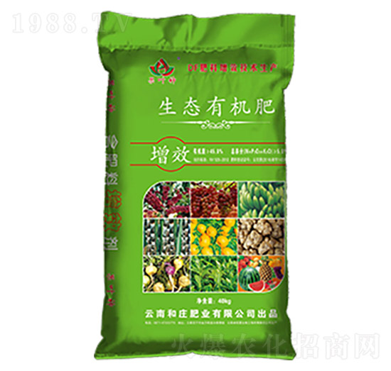 ���B(t��i)�ЙC��-���f�ʘI(y��)