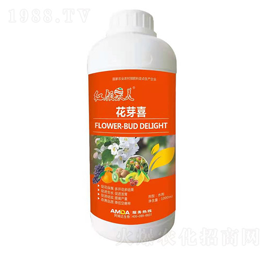 ��ѿϲ-�t���-��ķ�_(d��)