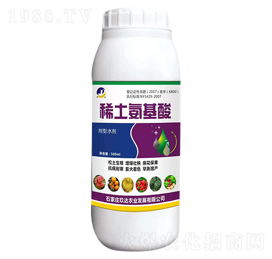 ϡ��������-���_