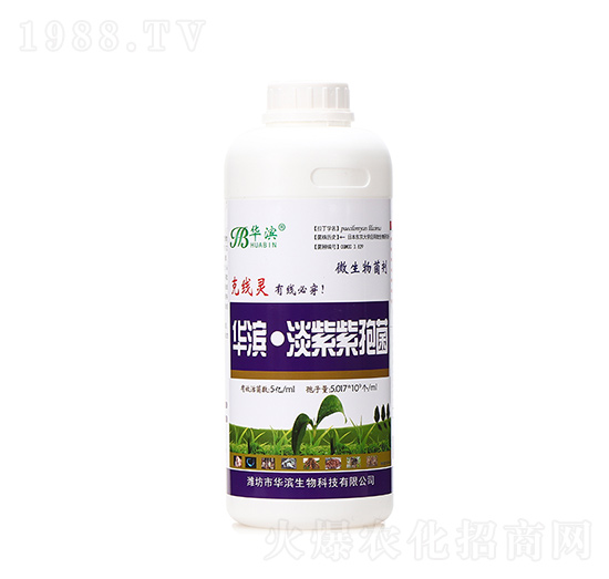 1000ml���ϔM��ù-�A�I