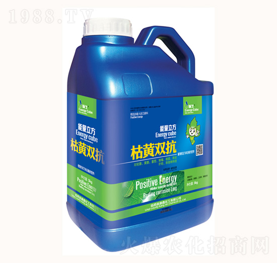 ���S�p��-���λ���