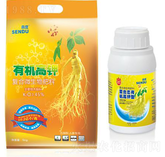 �ЙC��⛷�-ɭ��