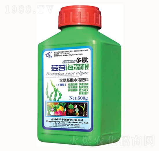 �|̦�����-���λ���