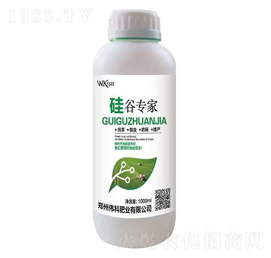 水稻專用-硅谷專家-偉科肥業(yè)