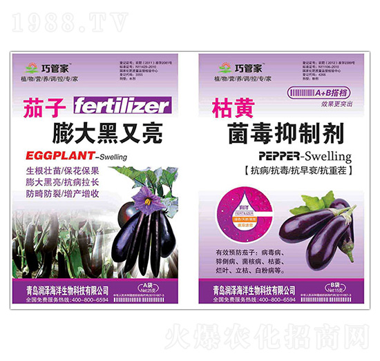 茄子膨大黑又亮+枯黃菌毒抑制劑-巧管家-潤澤