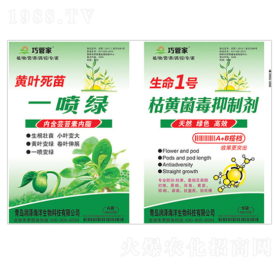 黃葉死苗一噴綠+生命1號枯黃菌毒抑制劑-巧管家-潤澤