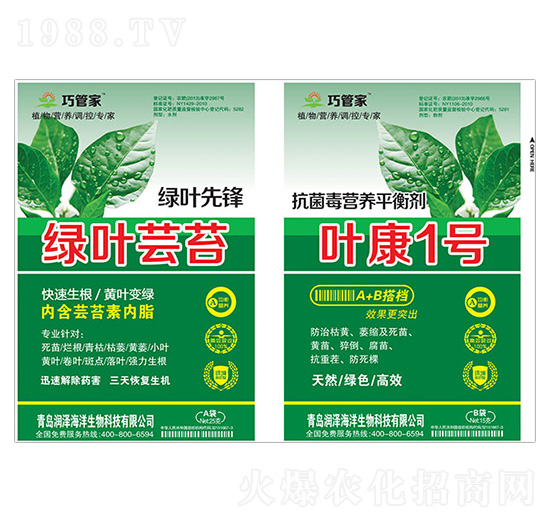 綠葉蕓苔+葉康1號(hào)-巧管家--潤(rùn)澤