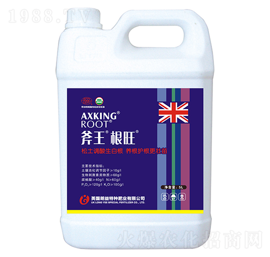 斧王根旺-天宸夢(mèng)