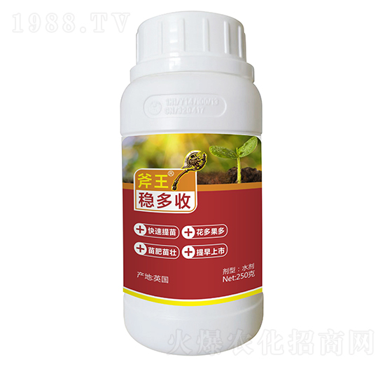 250g穩(wěn)多收-斧王-天宸夢(mèng)