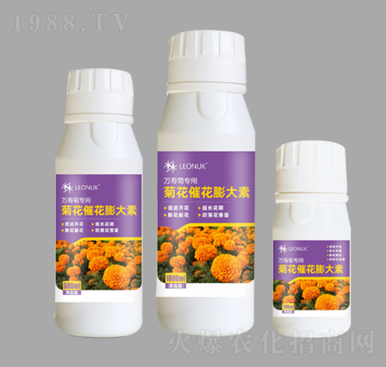 菊花催花膨大素（萬(wàn)壽菊專(zhuān)用）-萊昂化學(xué)