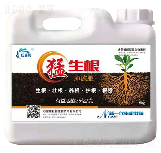 �������_ʩ��-�~����-��������