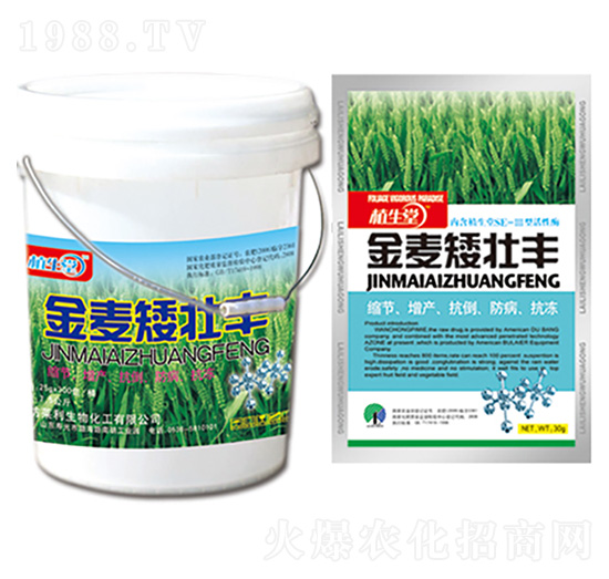 金麥矮壯豐 植生堂 萊利生物