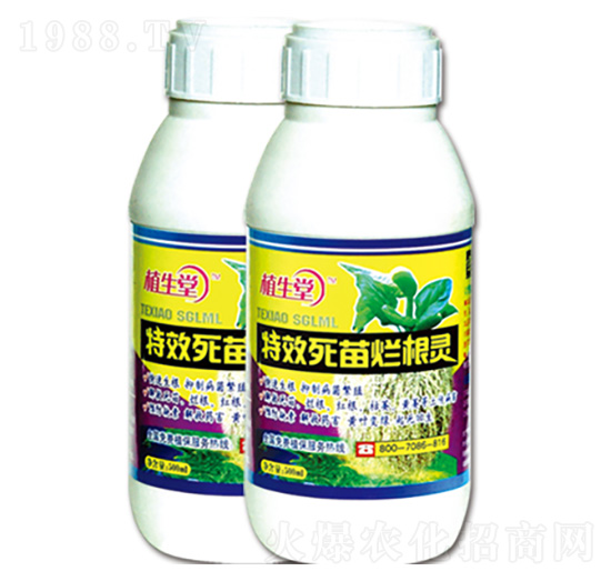 ���砀���` �R������