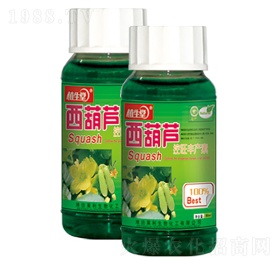 �����J�������a(ch��n)�� ֲ���� �R������